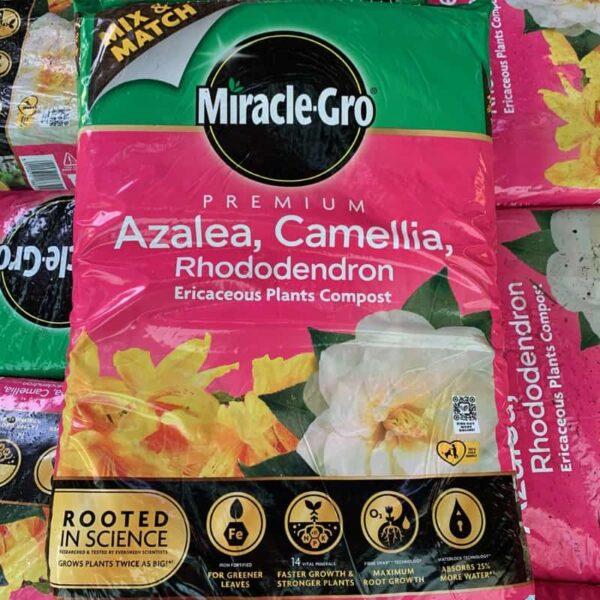 MiracleGro Premium Azalea, Camellia, Rhododendron Ericaceous Plants